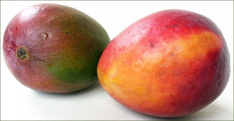 mangoes
