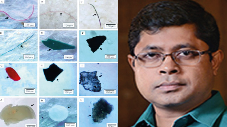 ব্রহ্মপুত্র ও যমুনা নদীর মাছের পেটে মাইক্রোপ্লাস্টিক