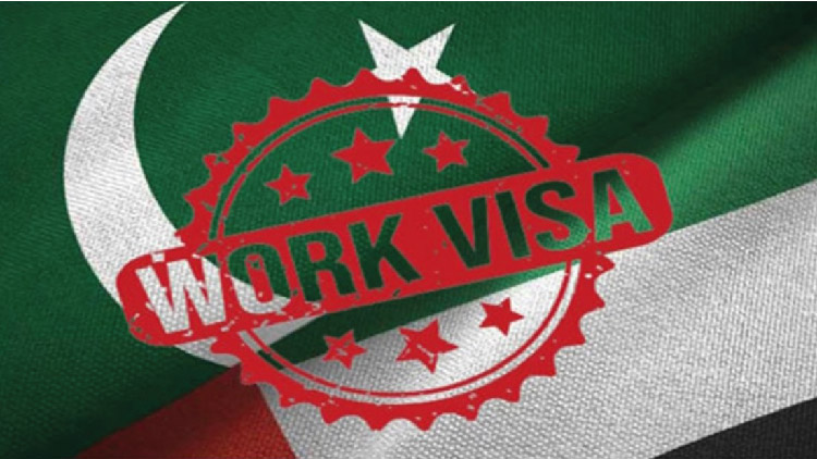 বাংলাদেশসহ ১৩ দেশের ওপর অস্থায়ী ভিসা নিষেধাজ্ঞা সৌদির