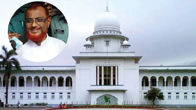 Court Appeal division