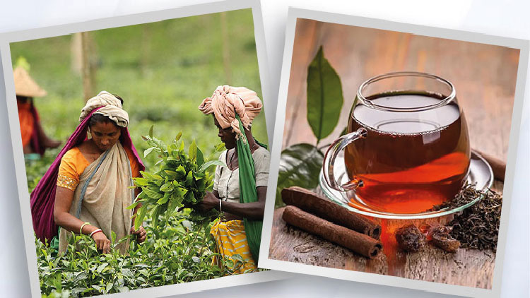 আজ বিশ্ব চা দিবস