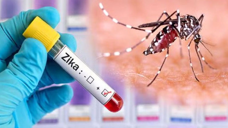 চট্টগ্রামে প্রথমবারের মতো জিকা রোগী শনাক্ত