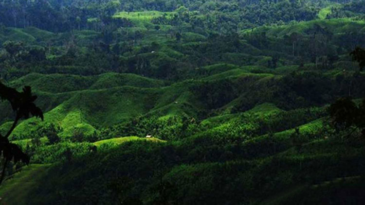খাগড়াছড়িতে জেএসএস-ইউপিডিএফের গোলাগুলি, নিহত ৪