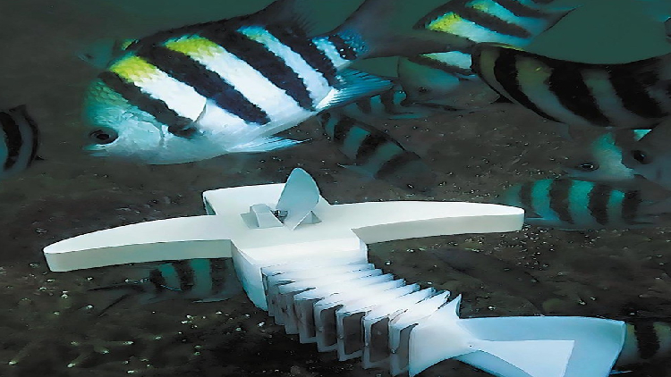 robot fish