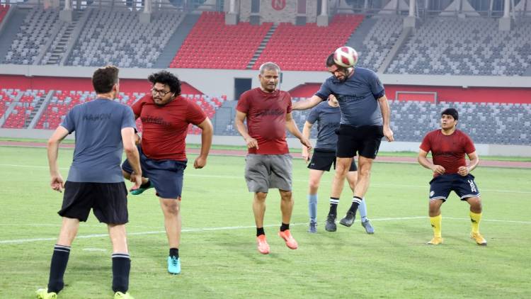 Advisor vs Diplomate