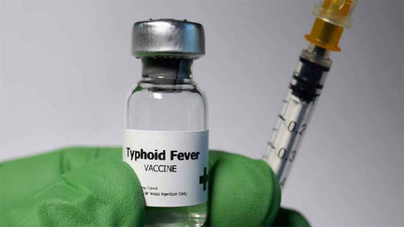 Typhoid