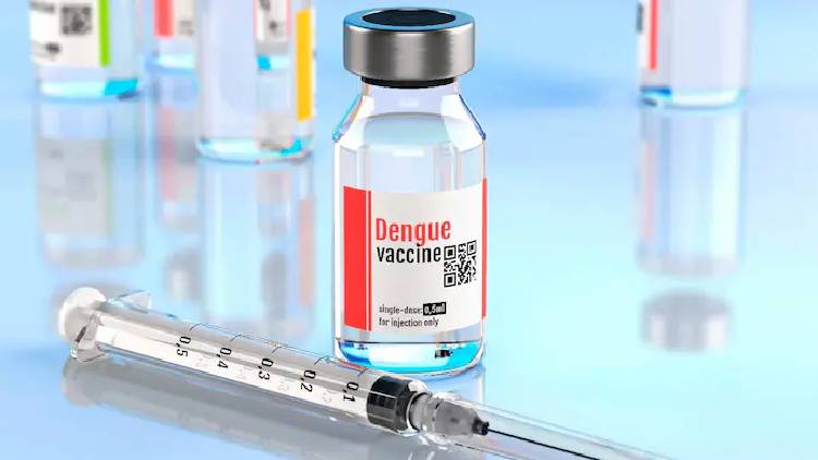 Dengue vaccine